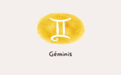 GEMINIS