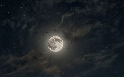 La influencia de la luna en tus emociones según tu signo zodiacal